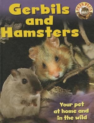 Gerbils and hamsters  cover image cdn