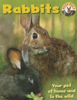 Rabbits  cover image cdn