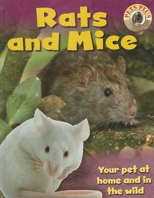 Rats and mice  cover image cdn