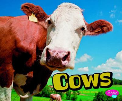 Cows cover image