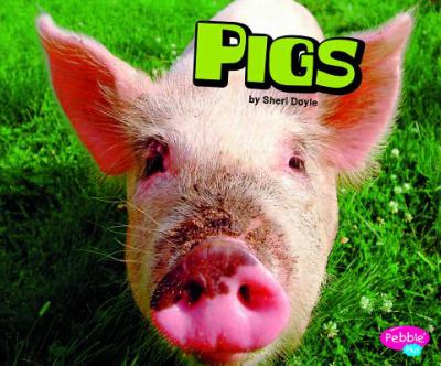 Pigs  cover image cdn