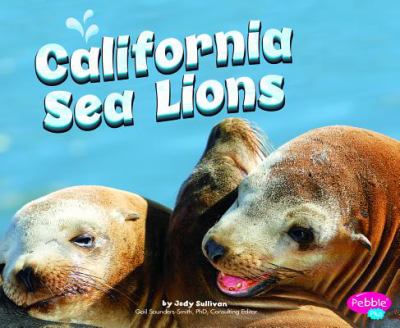 California sea lions  cover image cdn