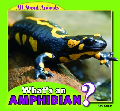 What's an amphibian?  cover image cdn