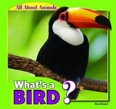 What's a bird?  cover image cdn
