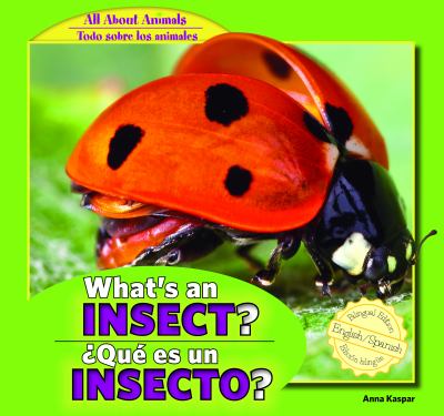 What's an insect? = Qué es un insecto?  cover image cdn