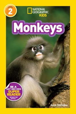 Monkeys  cover image cdn
