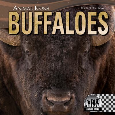Buffaloes  cover image cdn