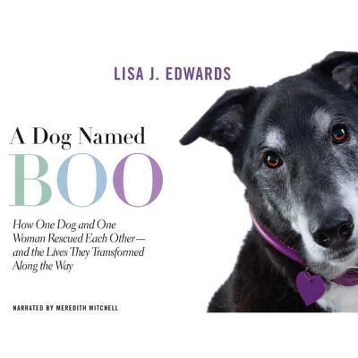 A dog named Boo how one dog and one woman rescued each other- and the lives they transformed along the way  cover image cdn