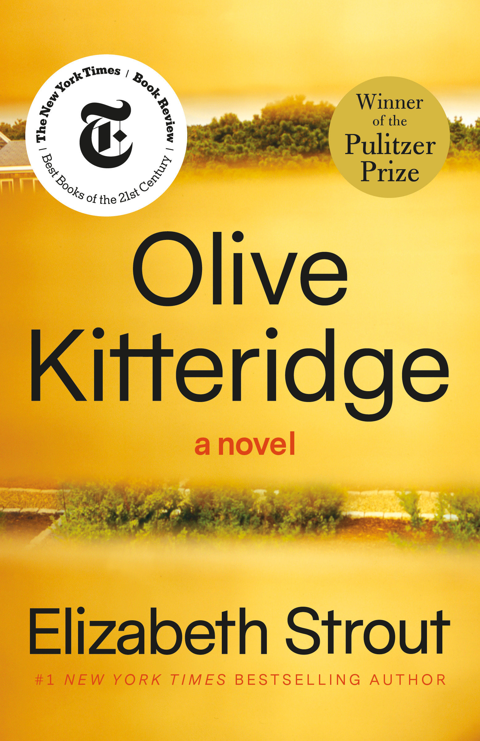 Olive Kitteridge cover image cdn