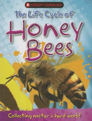 The life cycle of honey bees  cover image cdn