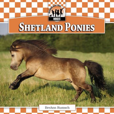 Shetland ponies  cover image cdn