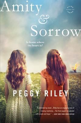 Amity & Sorrow cover image cdn