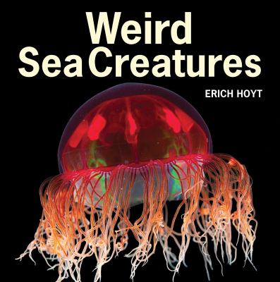 Weird sea creatures  cover image cdn