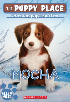 Mocha  cover image cdn