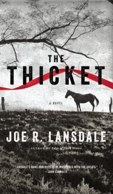 The thicket  cover image cdn