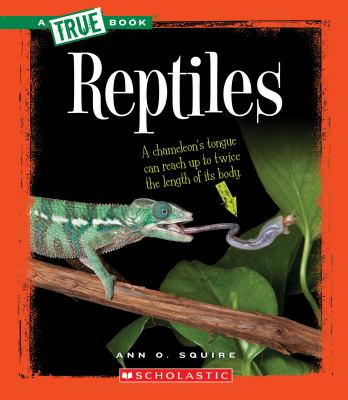 Reptiles cover image