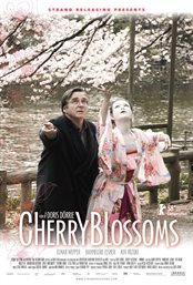 Cherry blossoms cover image cdn