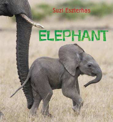 Elephant  cover image cdn