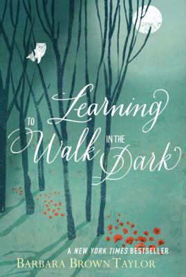 Learning to walk in the dark  cover image cdn
