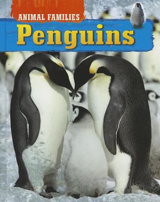 Penguins  cover image cdn