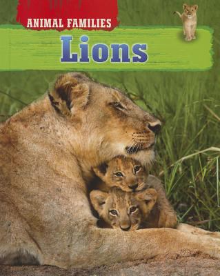 Lions  cover image cdn