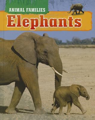 Elephants  cover image cdn