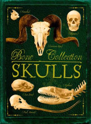 Bone collection. Skulls  cover image cdn
