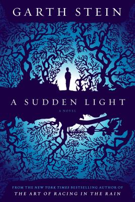 A sudden light  cover image cdn