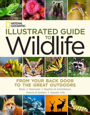 National Geographic illustrated guide to wildlife : from your backdoor to the great outdoors : mammals/birds/reptiles & amphibians/aquatic life/insects & spiders cover image