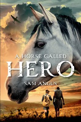 A horse called Hero  cover image cdn