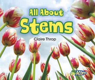 All about stems  cover image cdn