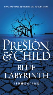 Blue labyrinth cover image cdn