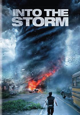 Into the storm cover image cdn