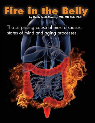 Fire in the belly : the surprise cause of most diseases, mental states and aging processes  cover image cdn