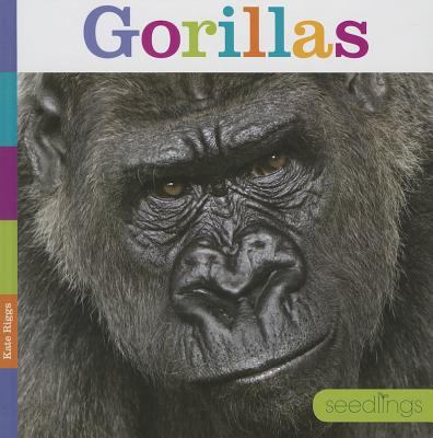 Gorillas  cover image cdn