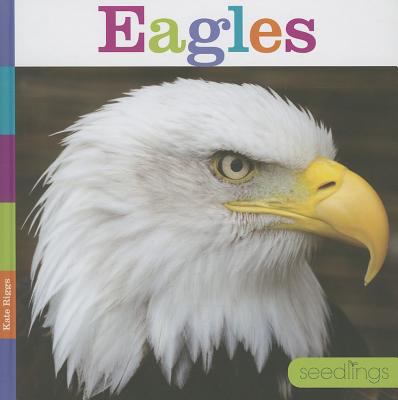Eagles cover image