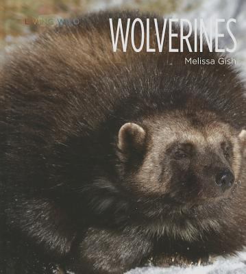 Wolverines  cover image cdn