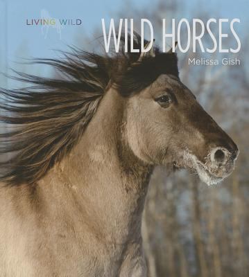 Wild horses  cover image cdn