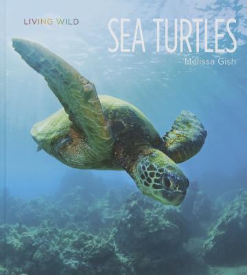 Sea turtles  cover image cdn