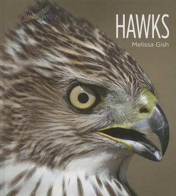 Hawks cover image