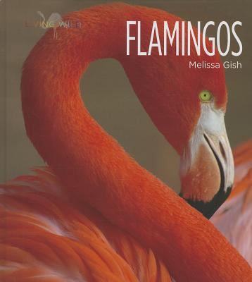 Flamingos  cover image cdn