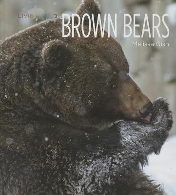 Brown bears  cover image cdn