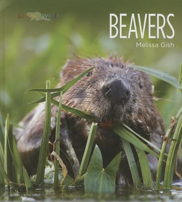 Beavers  cover image cdn