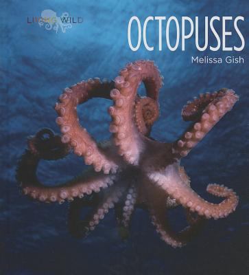Octopuses  cover image cdn