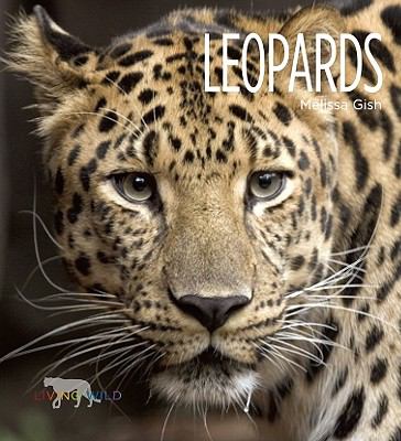 Leopards  cover image cdn