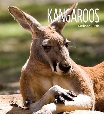 Kangaroos cover image