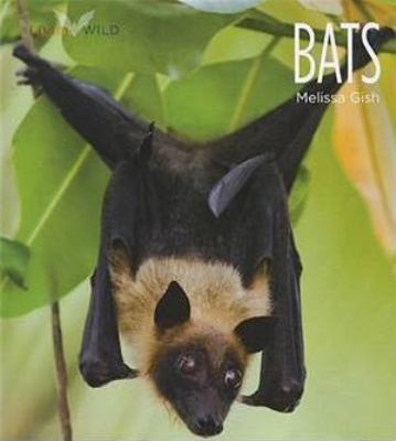 Bats  cover image cdn