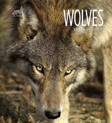 Wolves  cover image cdn
