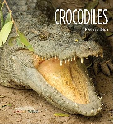 Crocodiles  cover image cdn