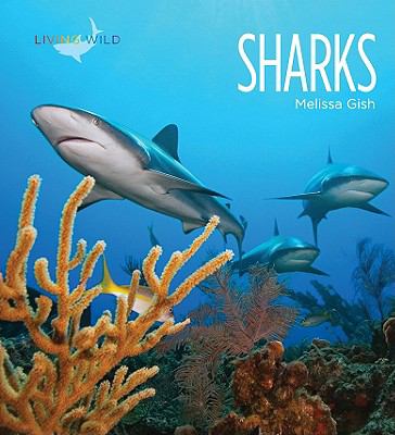 Sharks  cover image cdn
